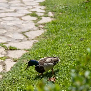 Garden & - , Torremolinos España